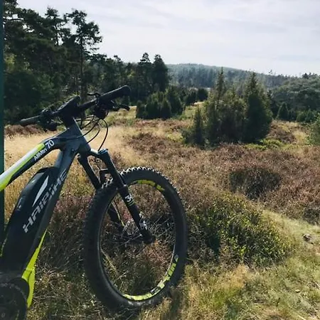 アパート In Schalkenbach-vinxt